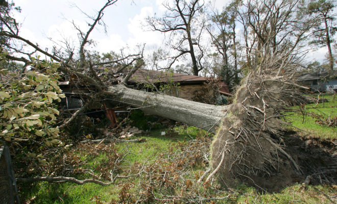 There are many ways to reinforce a home against wind damage — some are simple enough to DIY while others may require professional assistance.