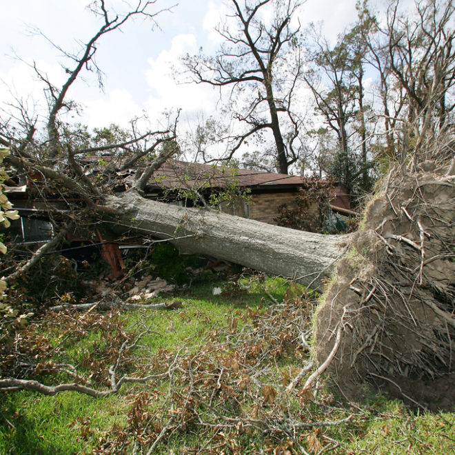 There are many ways to reinforce a home against wind damage — some are simple enough to DIY while others may require professional assistance.