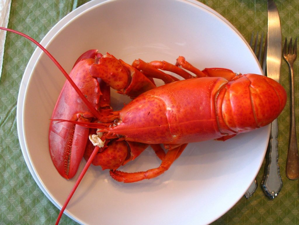 Boiled Maine Lobster