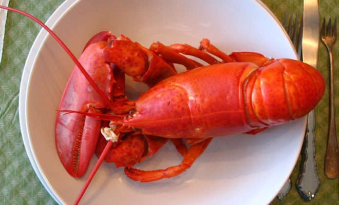 Lobstering Basics - Lobster Institute - University of Maine