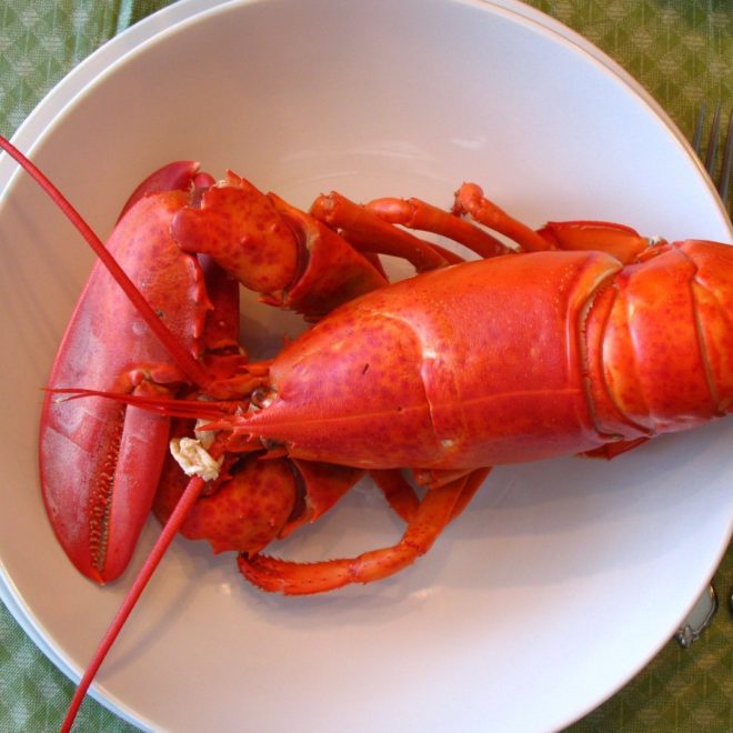 Boiled Maine Lobster