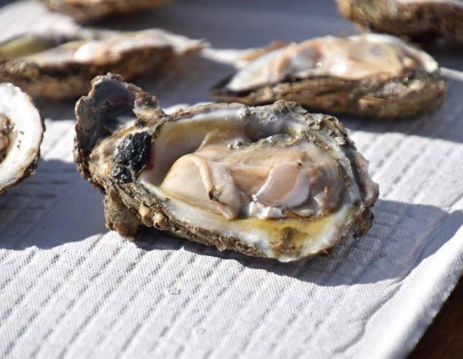 OysterFest