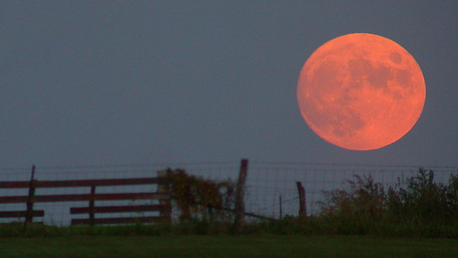 Harvest Moon. Image Courtesy of Roadcrusher. https://commons.wikimedia.org/wiki/File:Harvest_moon.jpg https://creativecommons.org/licenses/by-sa/3.0/deed.en