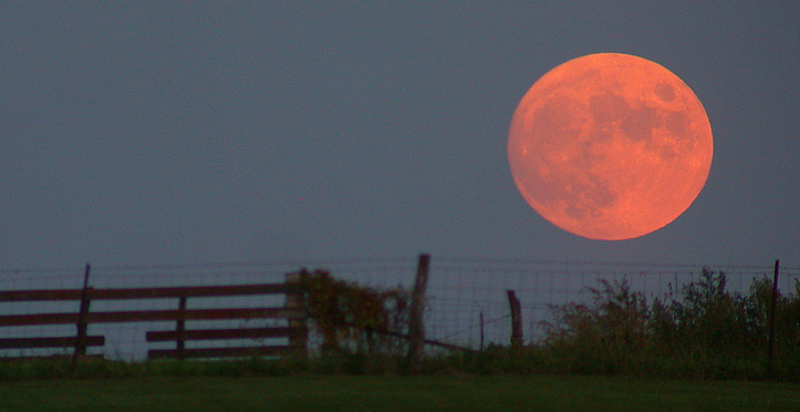 Harvest Moon. Image Courtesy of Roadcrusher. https://commons.wikimedia.org/wiki/File:Harvest_moon.jpg https://creativecommons.org/licenses/by-sa/3.0/deed.en