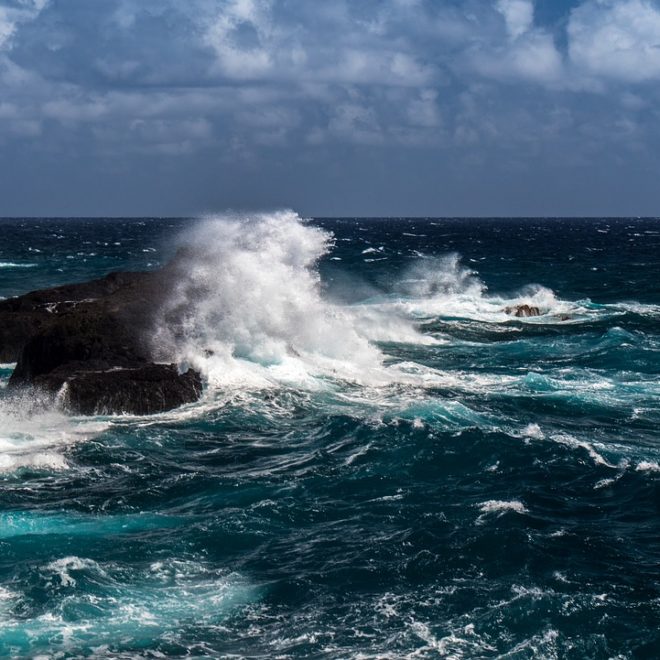The warming world is disrupting aquatic life and ocean patterns, with dire global consequences.