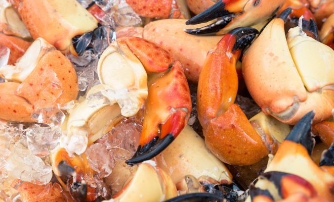 South Beach Seafood Week