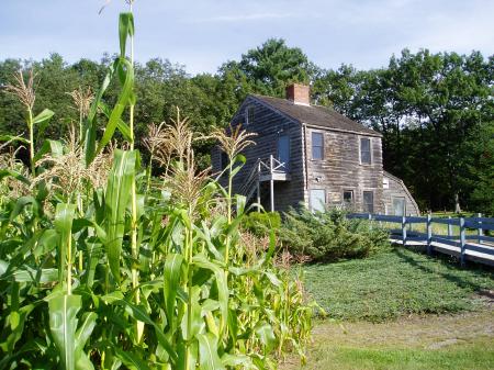 Urban Forestry Center