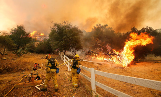 Photo Courtesy of AP Photo/Los Angeles Times, Mel Melcon