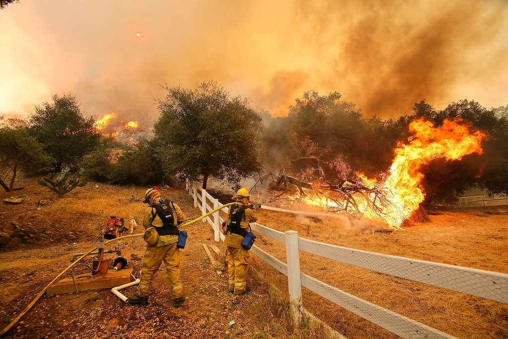 Photo Courtesy of AP Photo/Los Angeles Times, Mel Melcon