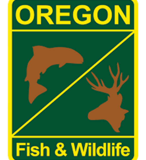 Oregon Fishing Report October 3rd, 2019.