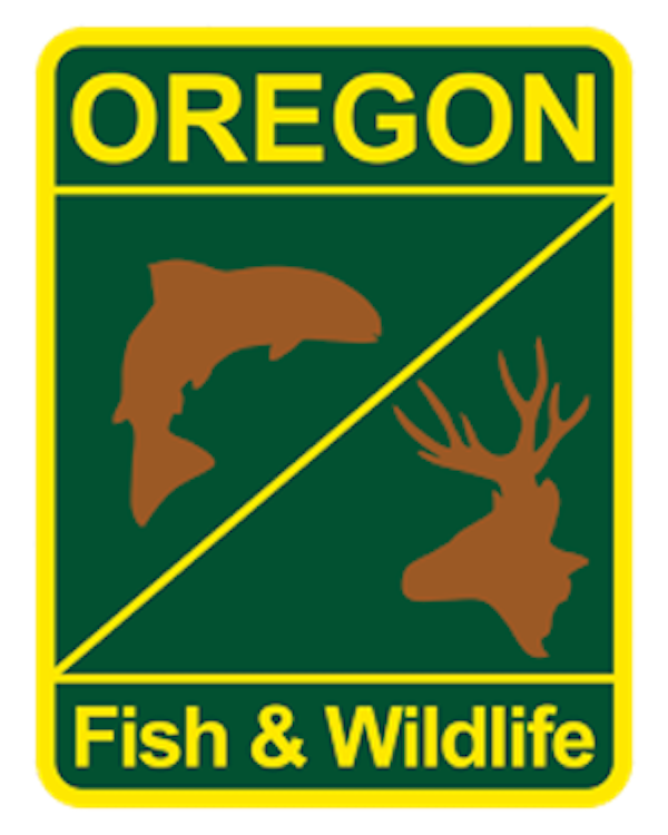 Oregon Fishing Report October 3rd, 2019.