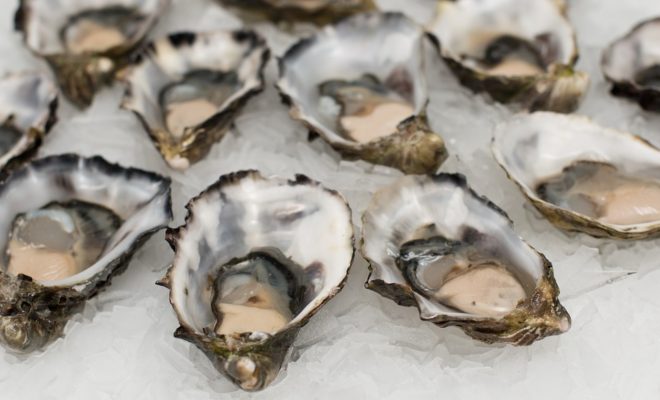 2nd Annual Rehoboth Beach Oyster Fest.