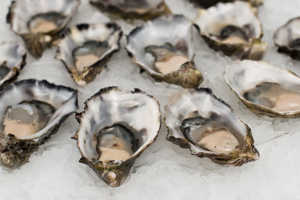 2nd Annual Rehoboth Beach Oyster Fest.