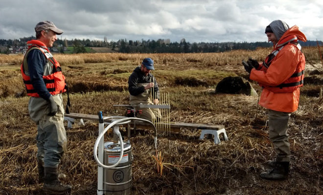 https://www.fisheries.noaa.gov/feature-story/veterans-become-budding-marine-scientists-through-washington-internship-program?utm_medium=email&utm_source=govdelivery