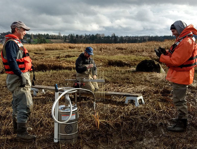 https://www.fisheries.noaa.gov/feature-story/veterans-become-budding-marine-scientists-through-washington-internship-program?utm_medium=email&utm_source=govdelivery