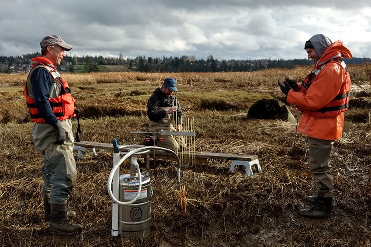 https://www.fisheries.noaa.gov/feature-story/veterans-become-budding-marine-scientists-through-washington-internship-program?utm_medium=email&utm_source=govdelivery