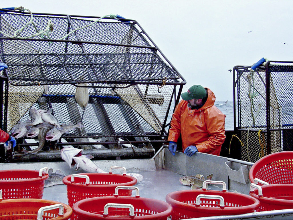 Photo Courtesy of NOAA Fisheries.