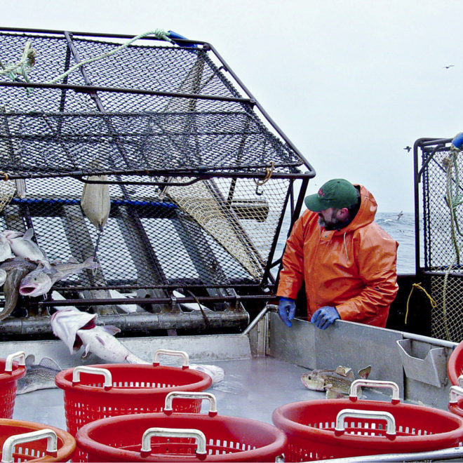 Photo Courtesy of NOAA Fisheries.