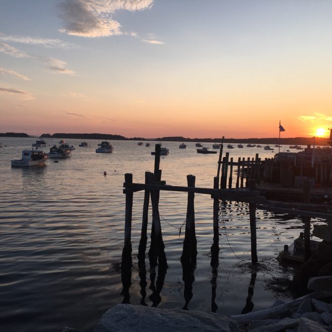 Photo Courtesy of Alicia Biggart.
