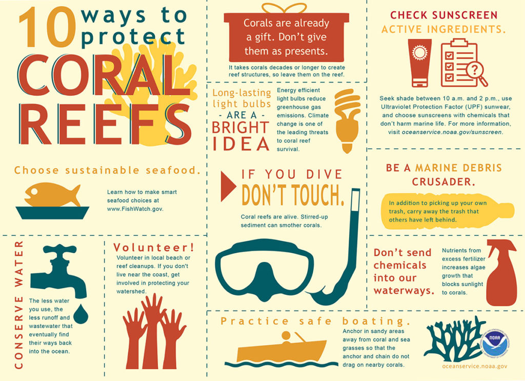 10 Ways to Protect Coral Reefs | US Harbors