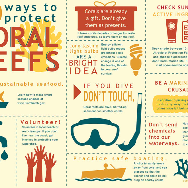 Coral reefs play a vital role in sustaining the health of our oceans and our economy.