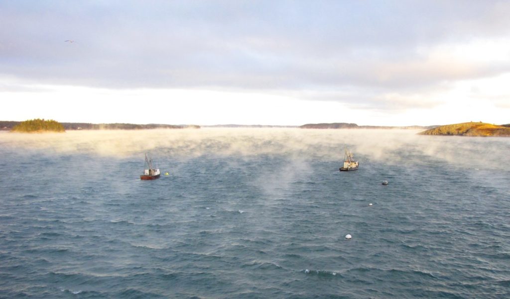 http://www.islandinstitute.org/working-waterfront/lubec-lands-major-grant-create-safe-harbor