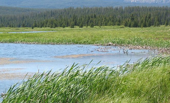 https://www.nps.gov/subjects/wetlands/restoring-wetlands.htm