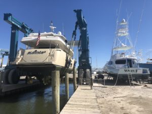 Image supplied via press release from RobinA@jarrettbay.com