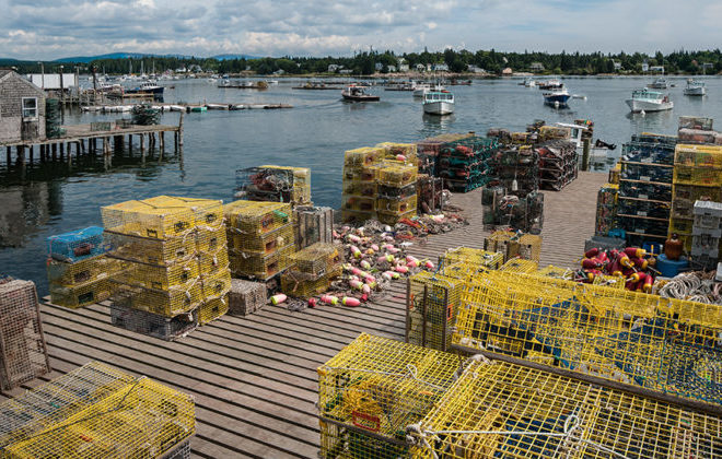 https://www.nationalfisherman.com/viewpoints/national-international/why-local-fisheries-matter-with-or-without-a-global-pandemic/?utm_source=marketo&utm_medium=email&utm_campaign=newsletter&utm_content=newsletter&mkt_tok=eyJpIjoiTm1ZMFpqa3lOV0pqT0RRMyIsInQiOiJqRHhJQUYyZjhVcncrYkM5MU8zYnJoUDdwbFlxMVNmZlwvOVFlcXU0TXF1NmdGV0tVcDVTaGN2TU9UODJwWHVneFVsUW1XZkVNY29ubG14em9GS1pNU01leFlIdHd2bnZoRGdlVVRnTHpMc0wza1ZLWlwvenRBaUNGVUw0eWgwQmtqIn0%3D