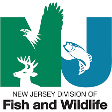 https://www.njfishandwildlife.com/