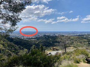 https://www.sfgate.com/bayarea/article/clean-clear-air-Los-Angeles-photos-coronanvirus-15201254.php