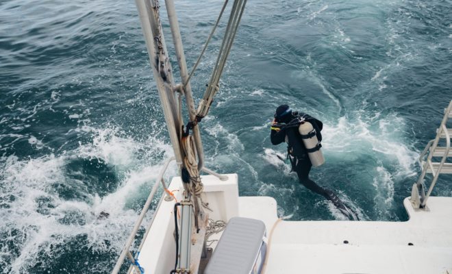 https://www.nytimes.com/2020/03/31/science/underwater-forest-shipworms.html?campaign_id=34&emc=edit_sc_20200331&instance_id=17208&nl=science-times&regi_id=74253343&segment_id=23391&te=1&user_id=0f8dadf8df020415cac6f34cb404db55