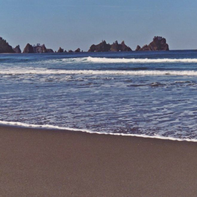 https://commons.wikimedia.org/wiki/File:Shi_Shi_Beach_WA.jpeg