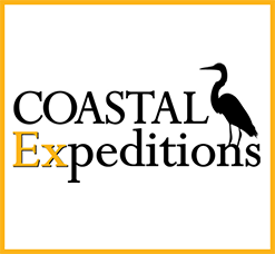 https://www.coastalexpeditions.com/product/beach-drop-sea-turtles/