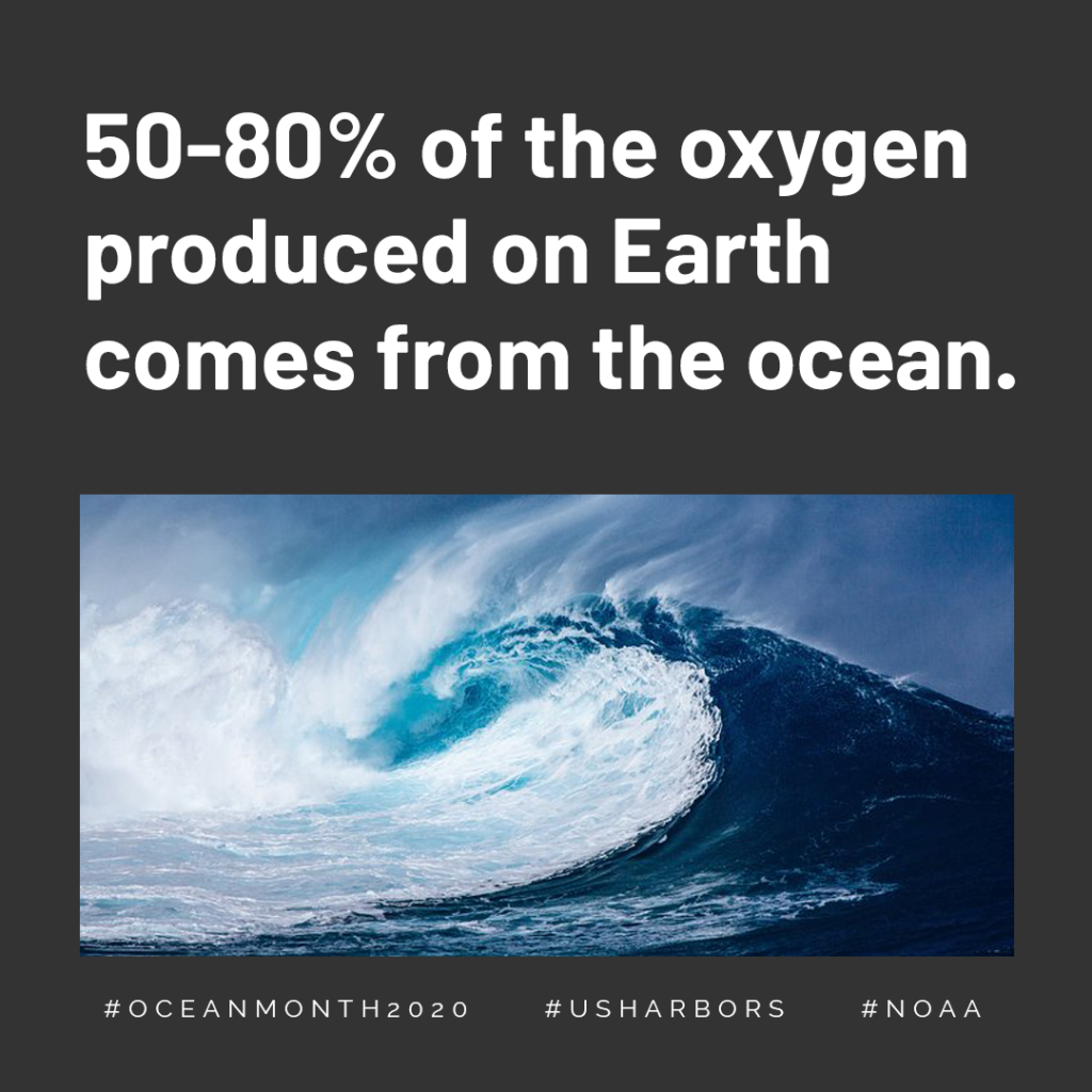 Ocean Month 2020