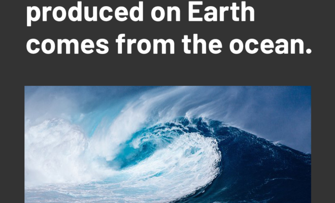 Ocean Month 2020