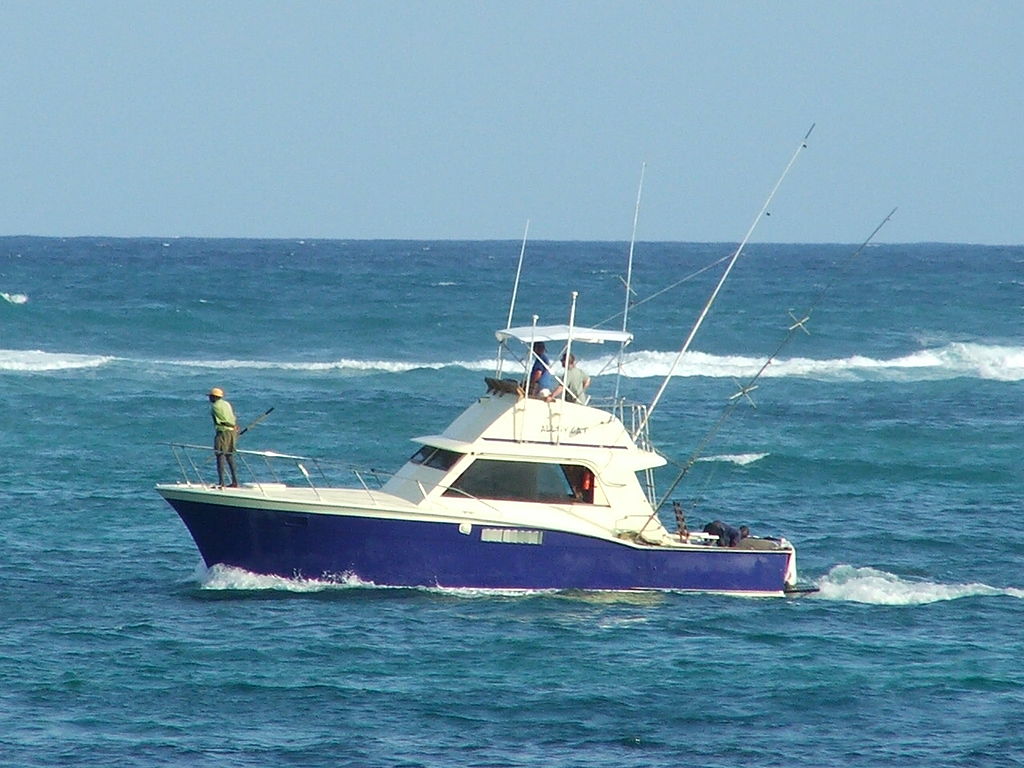 https://commons.wikimedia.org/wiki/File:Small_sport_fishing_boat.jpg