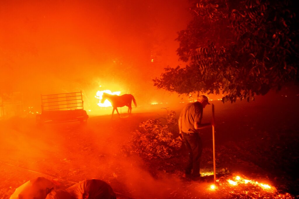 https://www.nytimes.com/2020/08/19/us/california-governor-emergency-wildfires.html?action=click&module=Latest&pgtype=Homepage