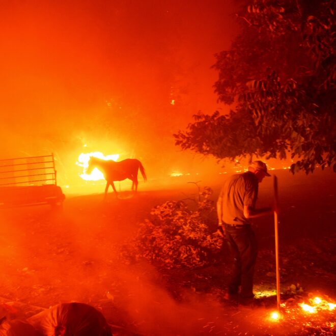 https://www.nytimes.com/2020/08/19/us/california-governor-emergency-wildfires.html?action=click&module=Latest&pgtype=Homepage