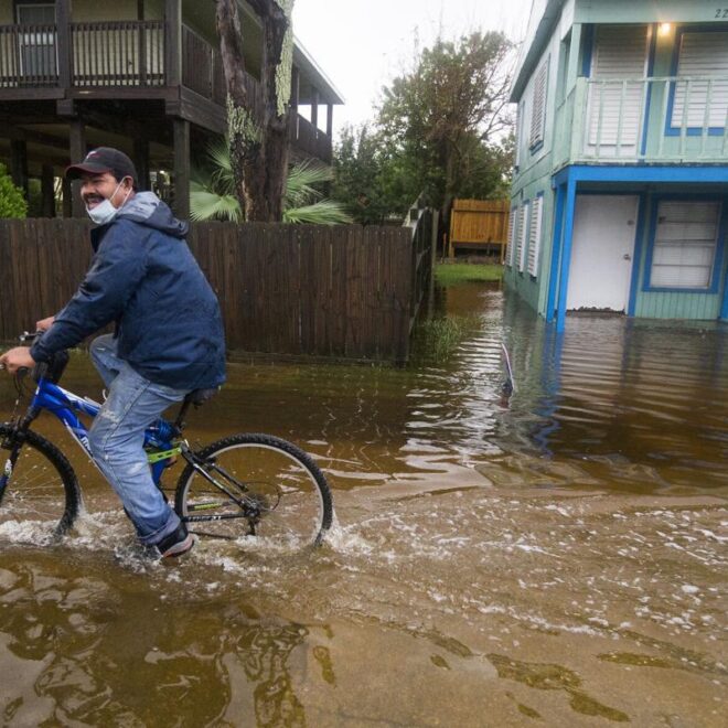 https://www.nola.com/multimedia/photos/collection_392fa028-fcd1-11ea-9402-9b2f18790014.html#3
