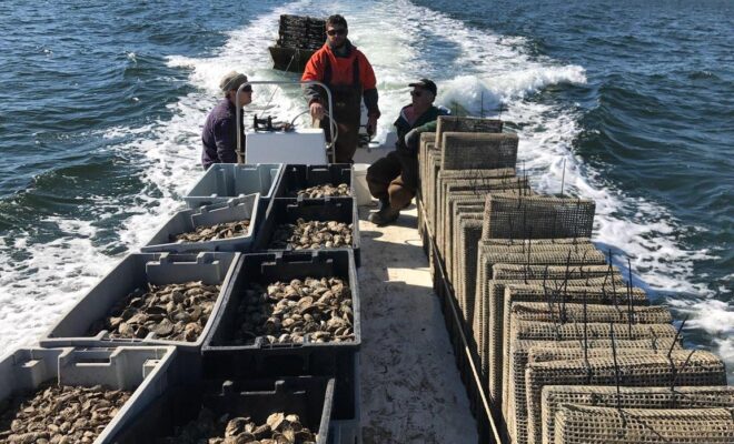 nationalfisherman.com/mid-atlantic/unsold-oysters-go-to-new-jersey-restoration-reefs