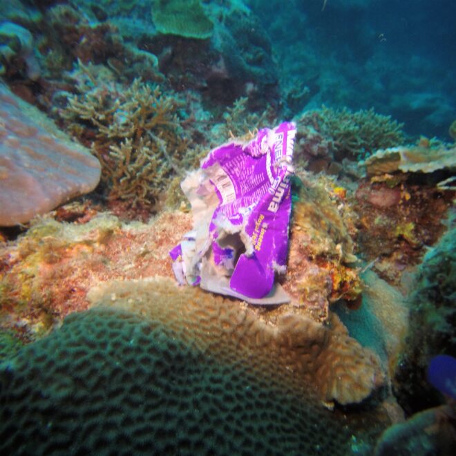 https://commons.wikimedia.org/wiki/File:Marine_debris.jpg