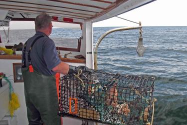 https://www.fisheries.noaa.gov/feature-story/behind-scenes-most-consumed-seafood