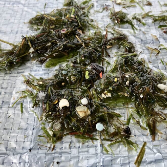 https://www.greatlakesnow.org/2020/11/seabins-trap-plastics-great-lakes-canada/