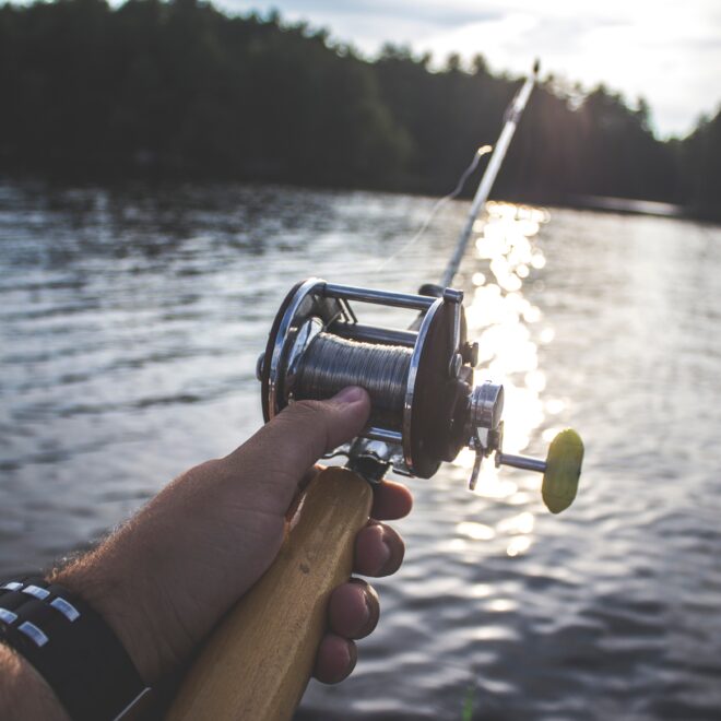 Photo by Brady Rogers on Unsplash