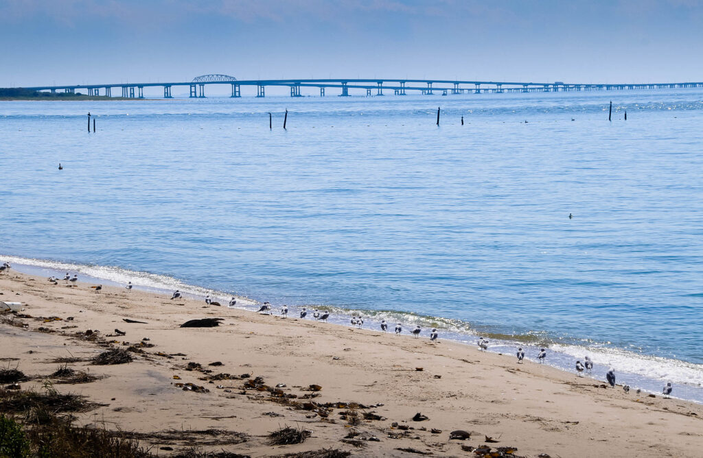 https://commons.wikimedia.org/wiki/File:Chesapeake_Bay_Bridge-Tunnel,_Virginia_Beach_Area.jpg