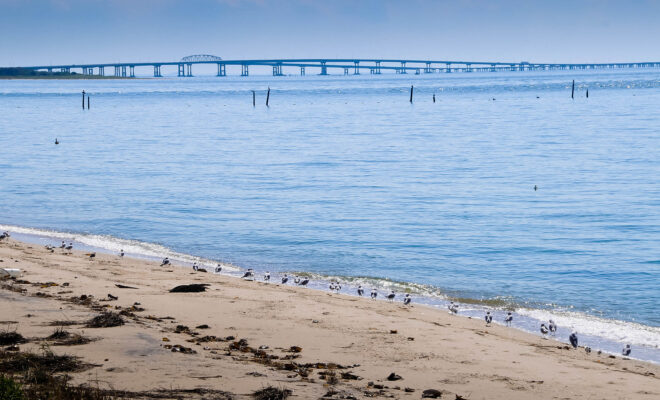 https://commons.wikimedia.org/wiki/File:Chesapeake_Bay_Bridge-Tunnel,_Virginia_Beach_Area.jpg