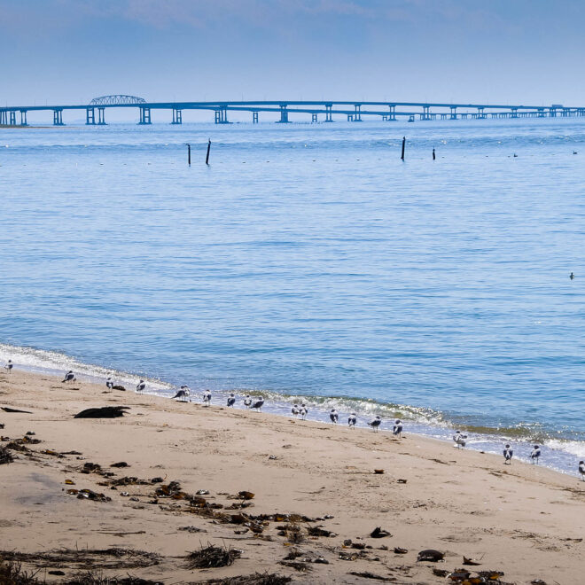 https://commons.wikimedia.org/wiki/File:Chesapeake_Bay_Bridge-Tunnel,_Virginia_Beach_Area.jpg