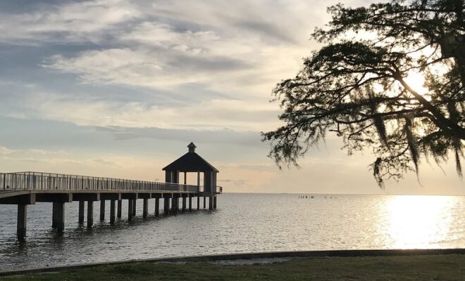 Louisiana Coast - Image by gzu from Pixabay