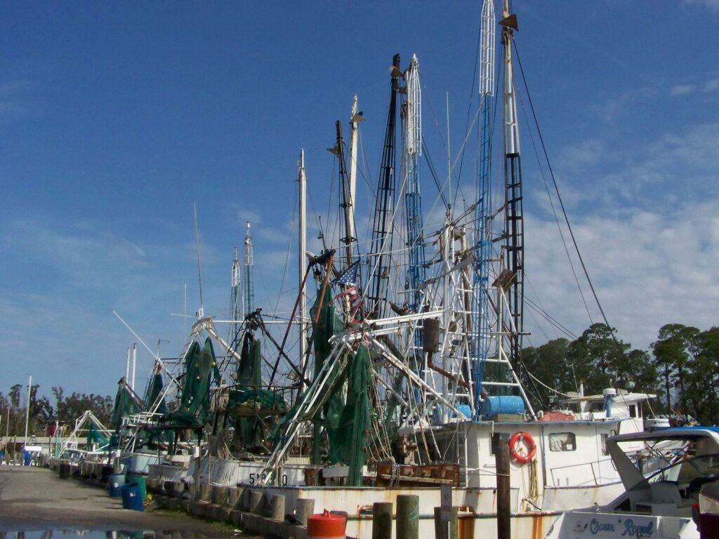 https://commons.wikimedia.org/wiki/File:Shrimpboats.JPG